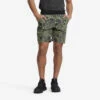 Boarderline Shorts Men Smokey Kalamata